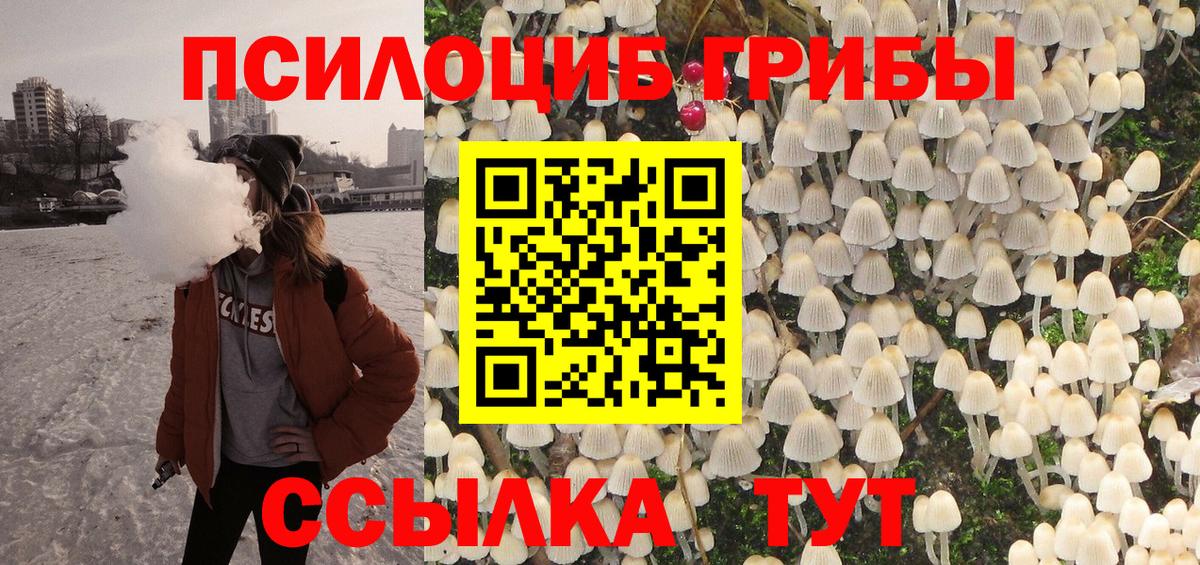 Псилоцибиновые грибы Psilocybine cubensis Урюпинск