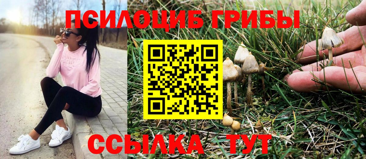 Галлюциногенные грибы Psilocybe  Вход с VPN  Урюпинск 